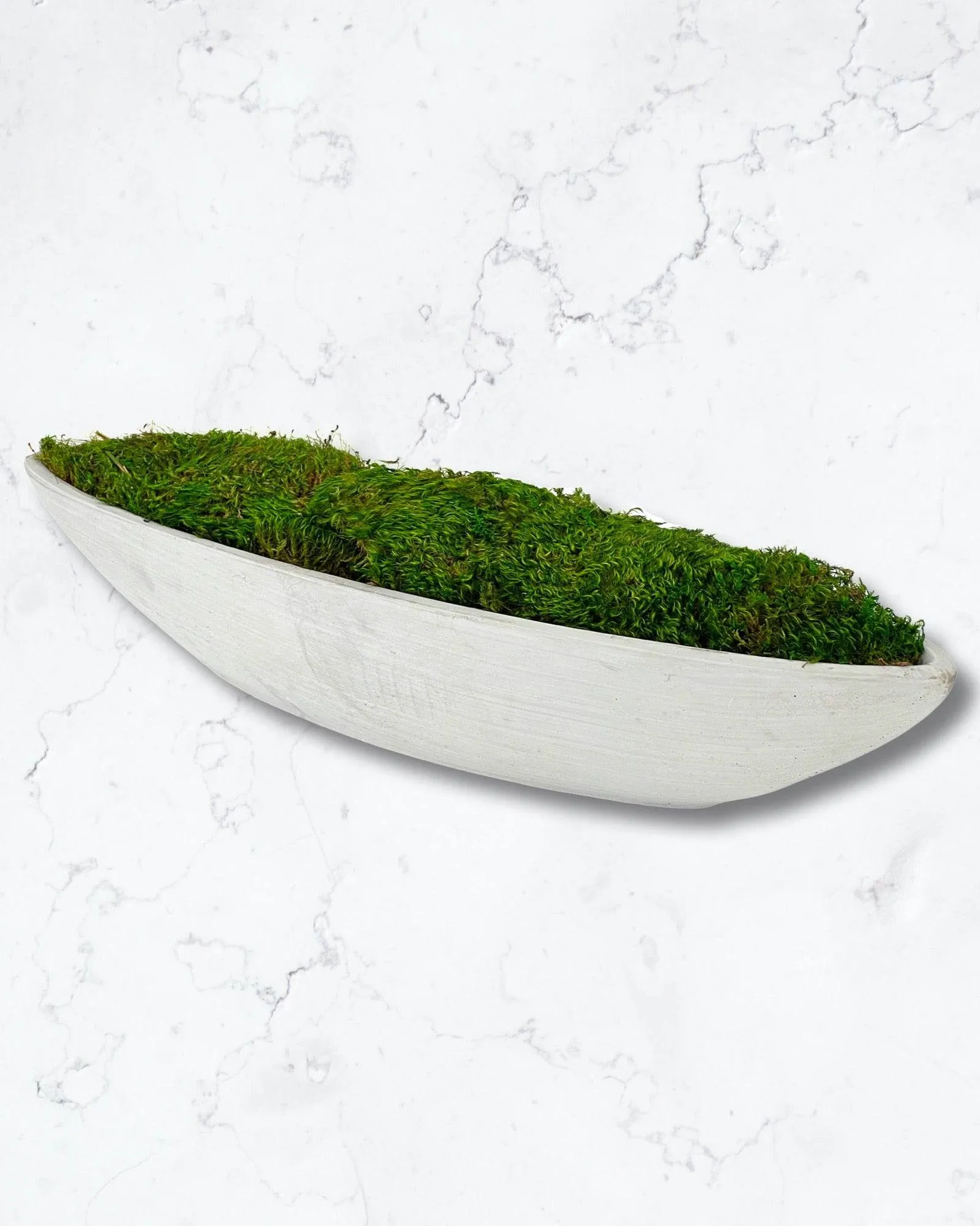 Preserved Moss in Concrete Boat Centerpiece