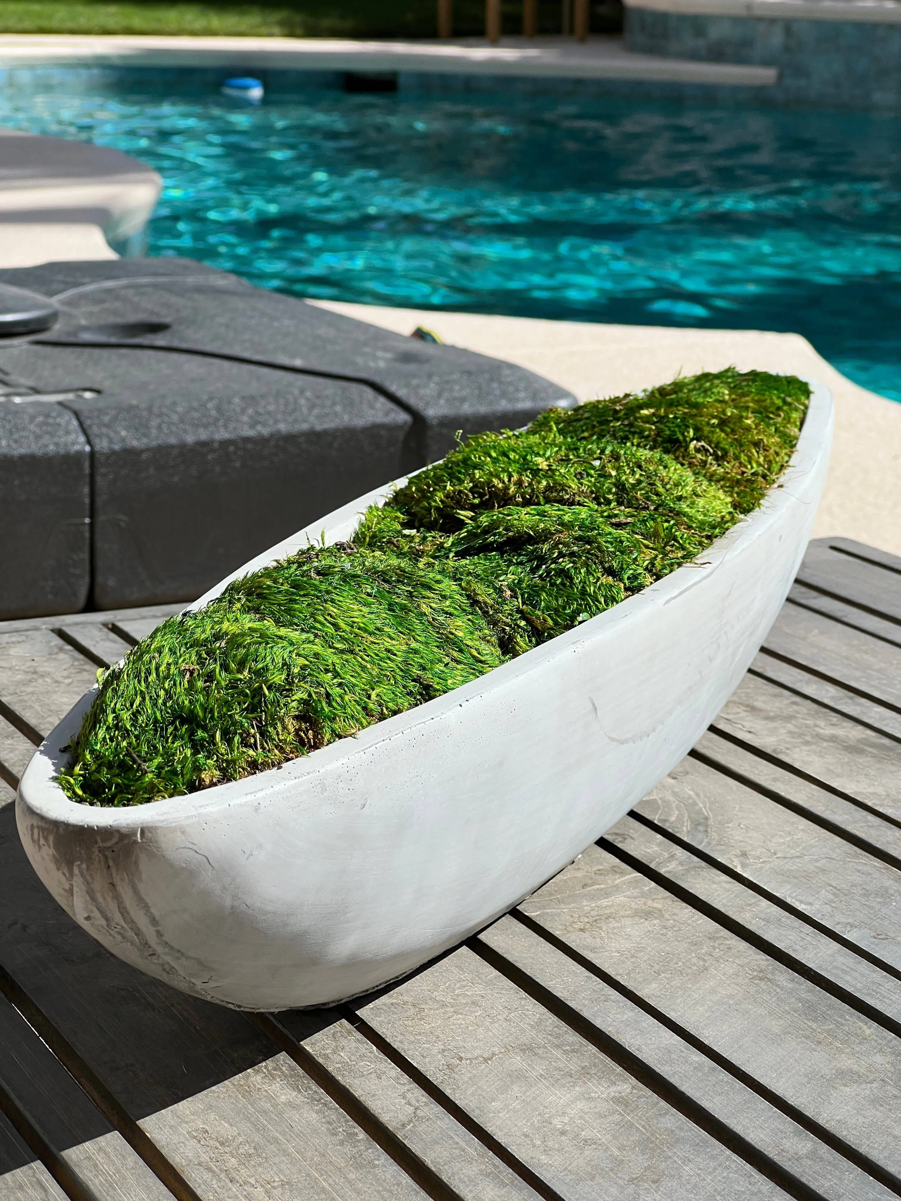 Preserved Moss in Concrete Boat Centerpiece